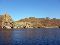 great snorkeling and diving at the aquarium