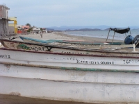 Cochorit Beach