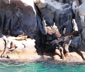 San Pedro Island sonora