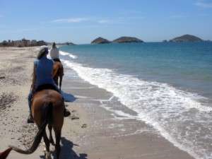 horseback riding in San Carlos