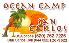 oceancamp san carlos sonora