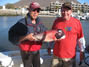 Yellowtail Fishing Tournament