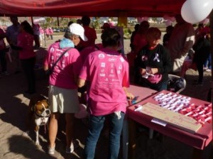 Walk for Life Caminata por la Vida