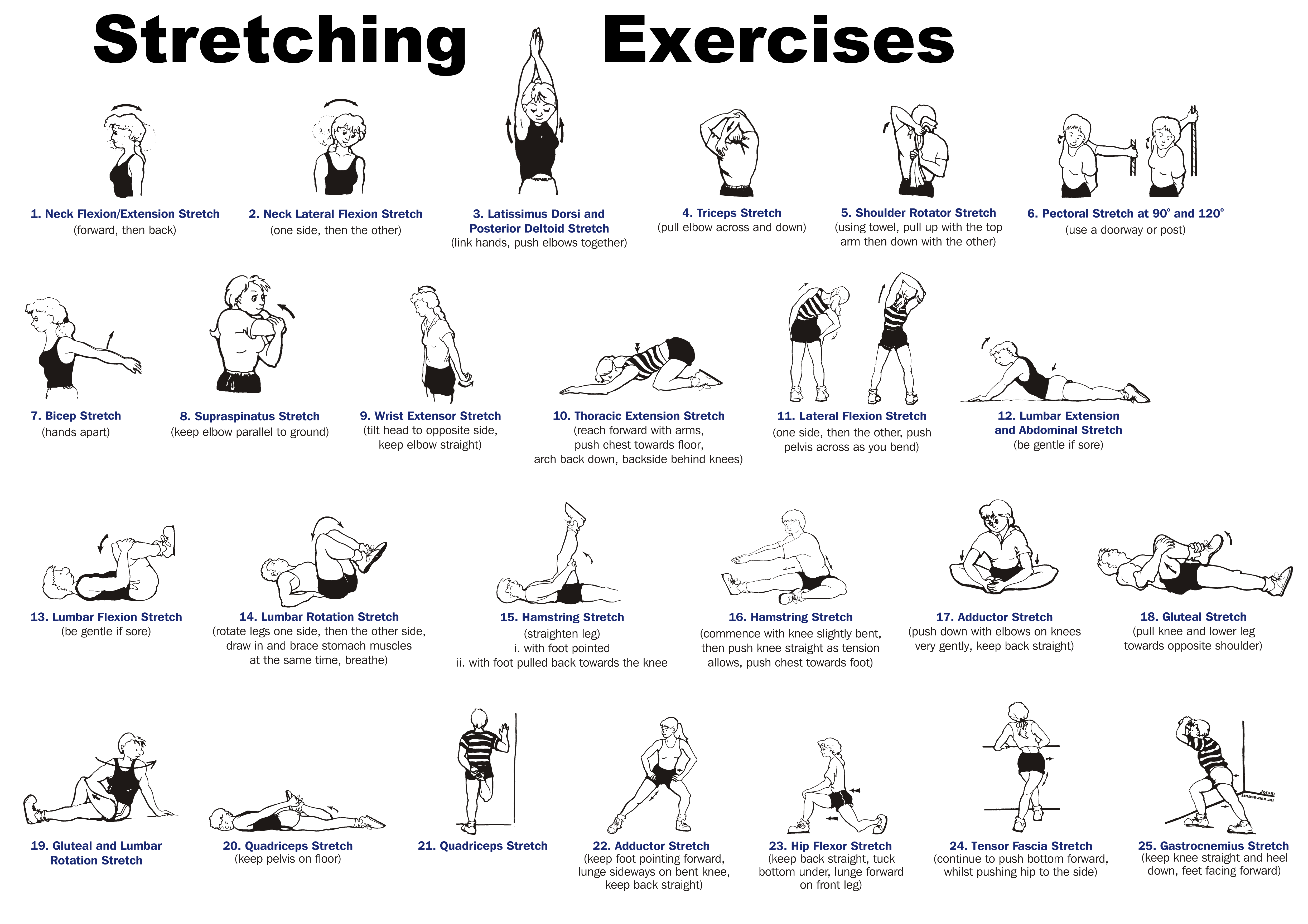 To Stretch Or Not To Stretch To Stretch Or Not To Stretch